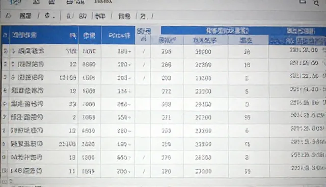 数据统计报告中信息偏差的识别与应对